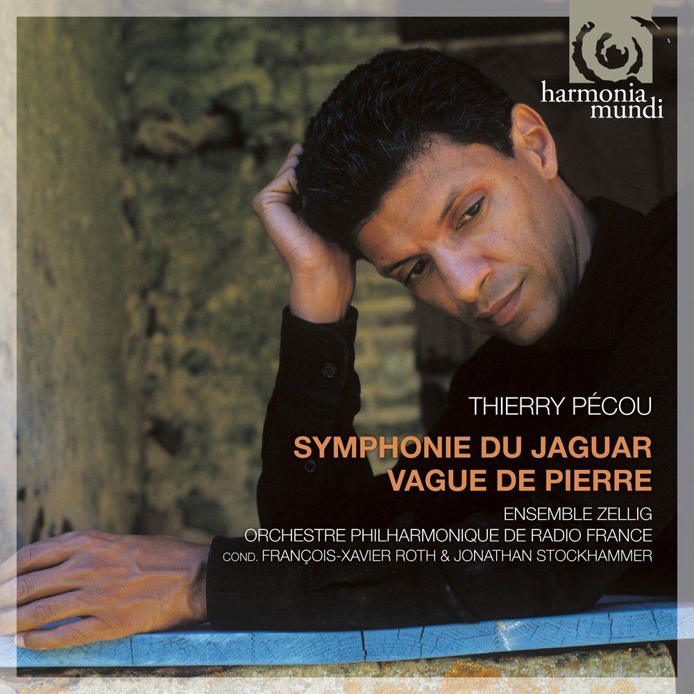 Symphonie Du Jaguar, Vague De Pierr cd