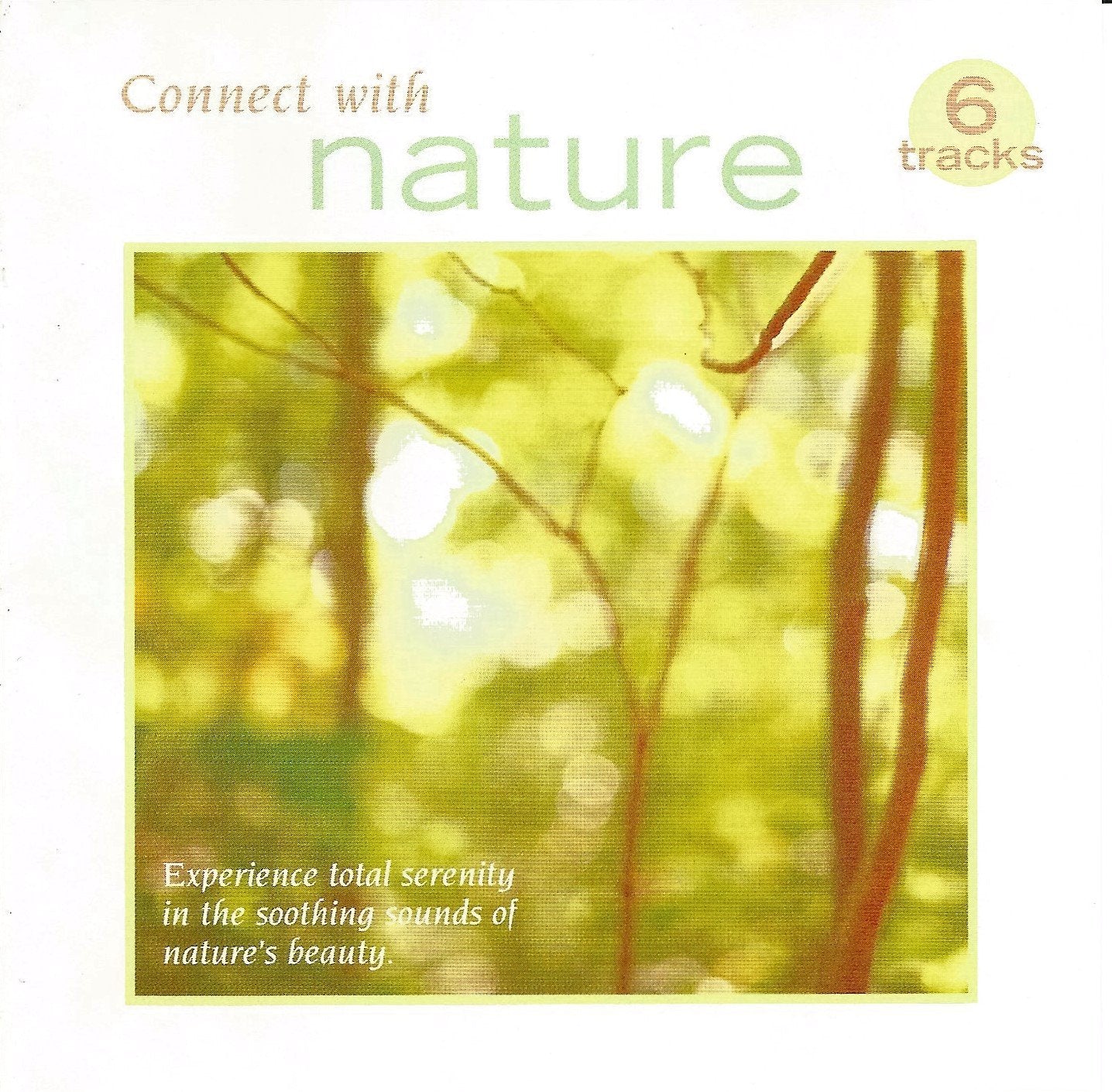Product Image: Connect With Nature