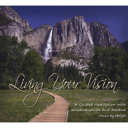 Product Image: Living Your Vision