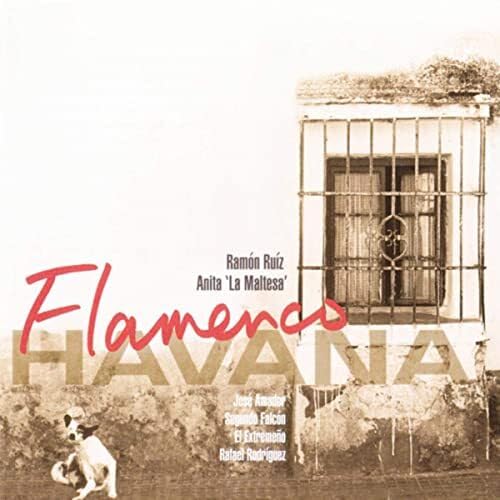 Flamenco Havana Blues
