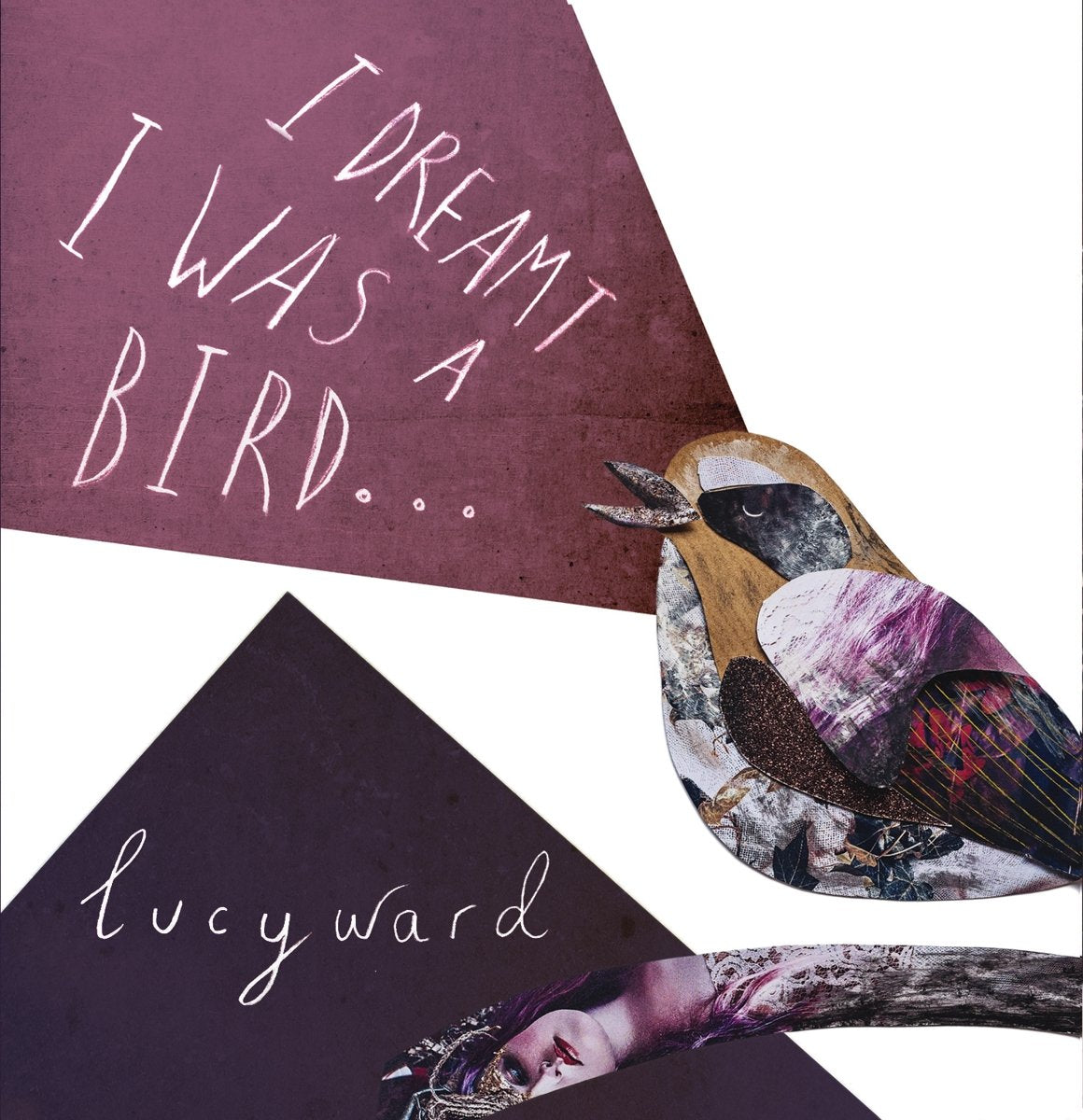 I Dreamt I Was A Bird Country & Folk