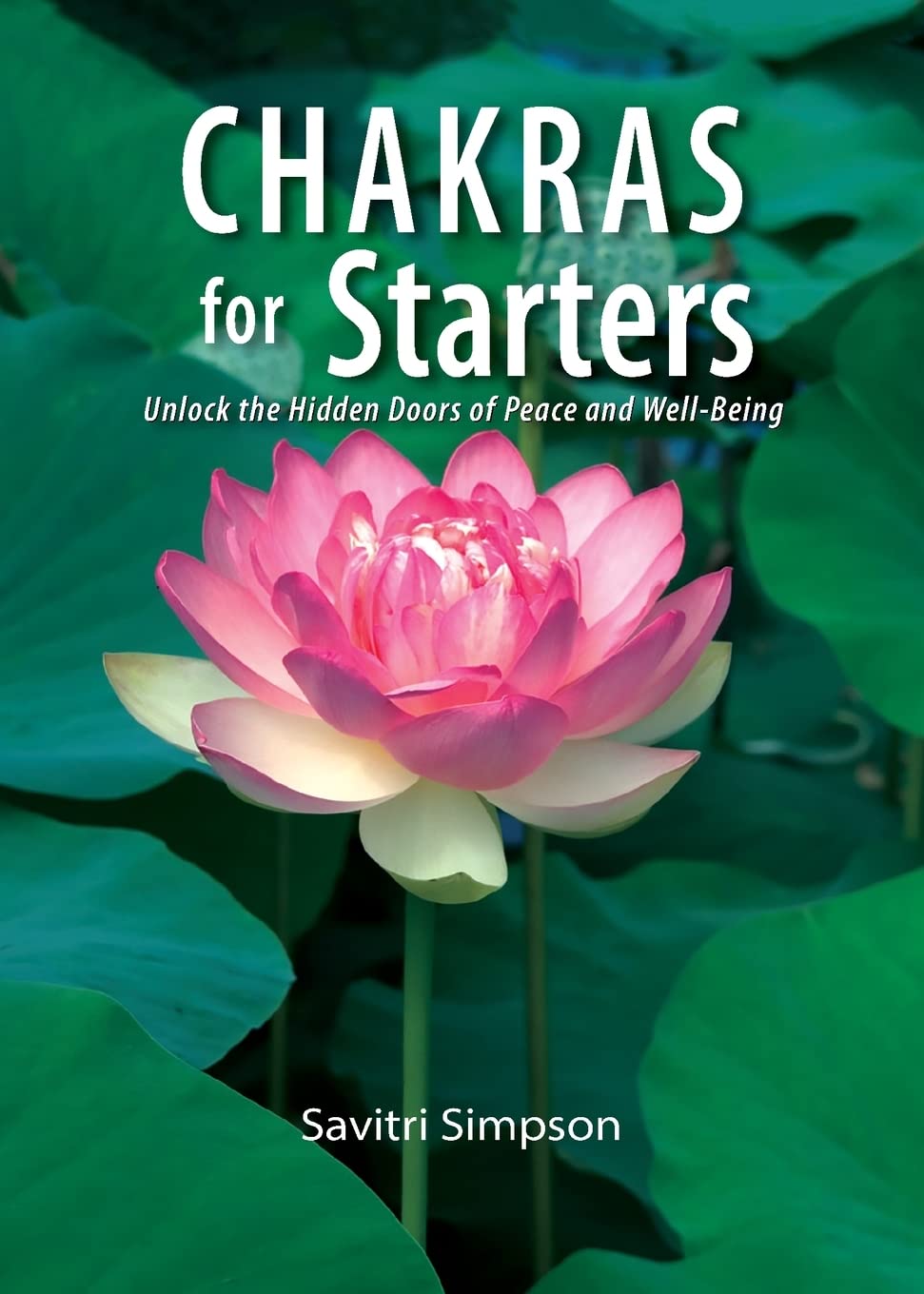 Chakras for Starters: Unlock the Hidden Doors to Peace and Well-Being (For Starters Series, 2) Philosophy