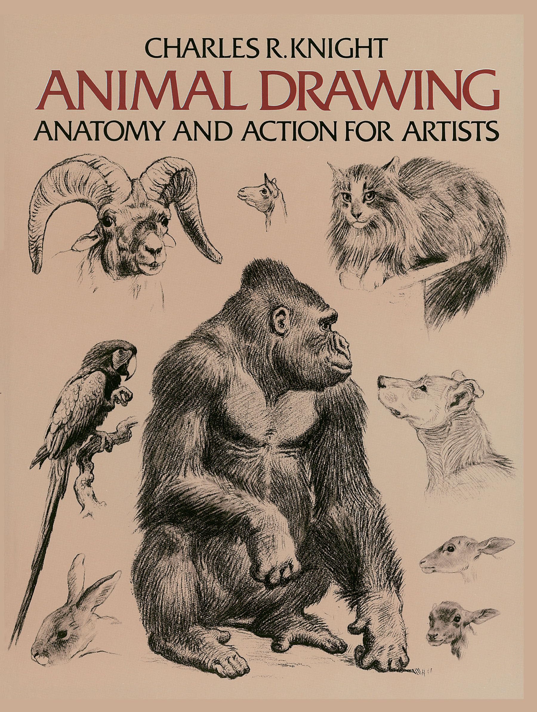 Animal Drawing (Dover Anatomy for Artists) Social Sciences
