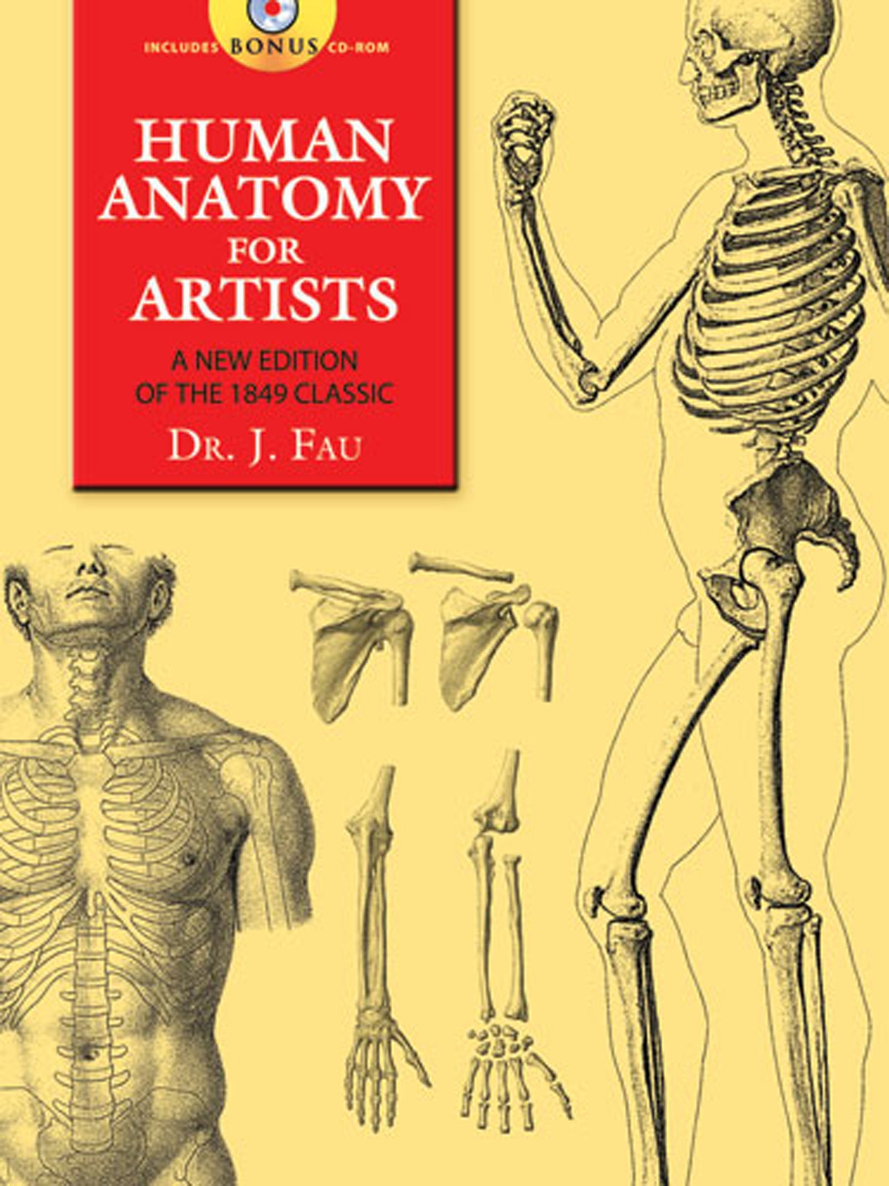 Human Anatomy for Artists: A New Edition of the 1849 Classic With CD-ROM (Dover Pictorial Archives) Film, Art & Culture