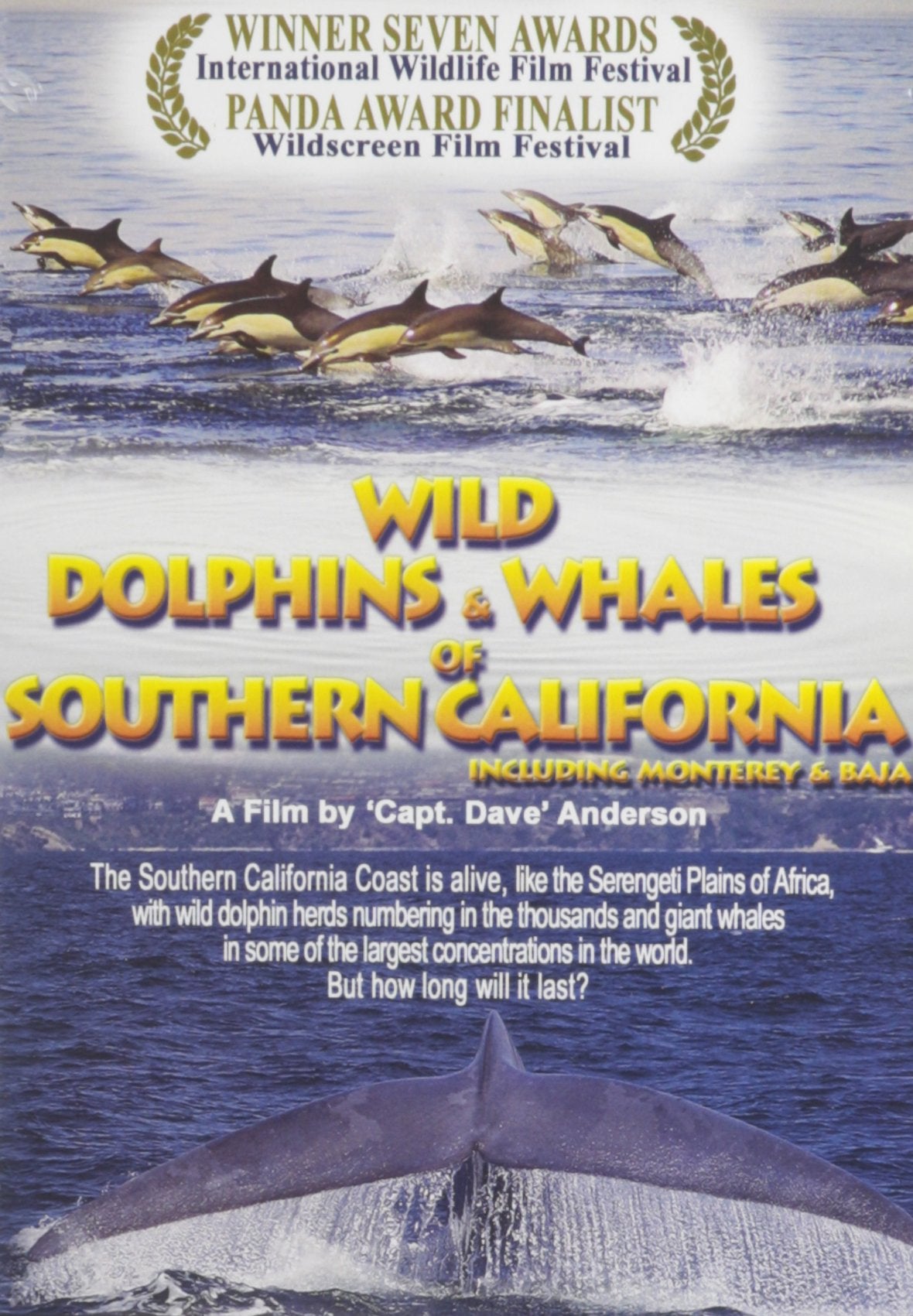 Wild Dolphins and Whales of Southern California Films