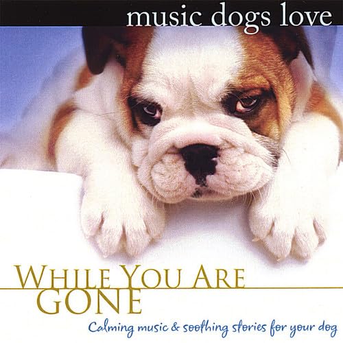 Music Dogs Love: While You Are Gone Music