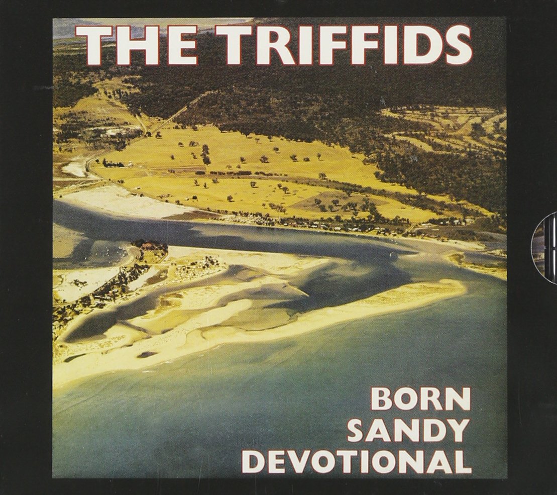 Born Sandy Devotional Alternative & Indie