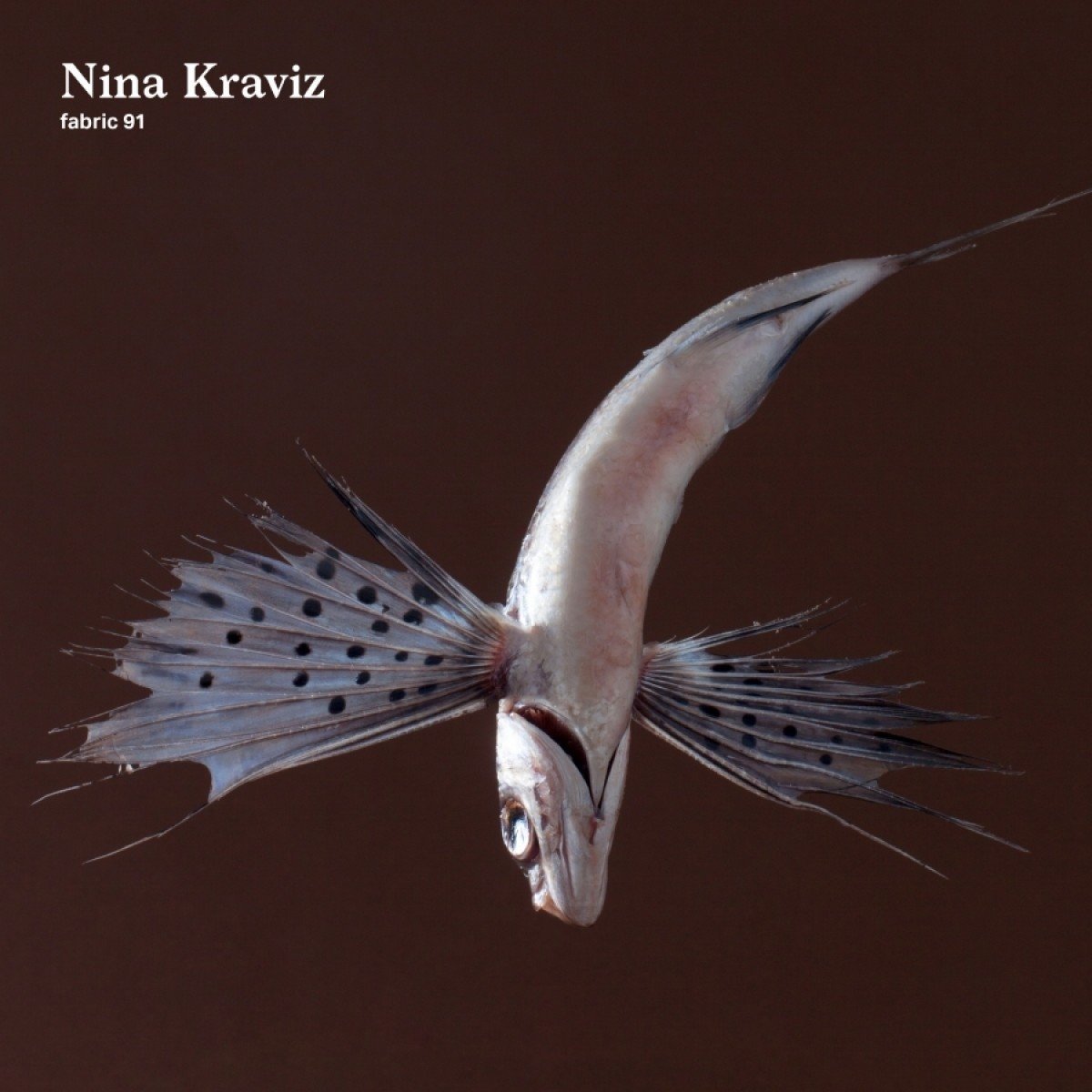 fabric 91: Nina Kraviz Dance & Electronic