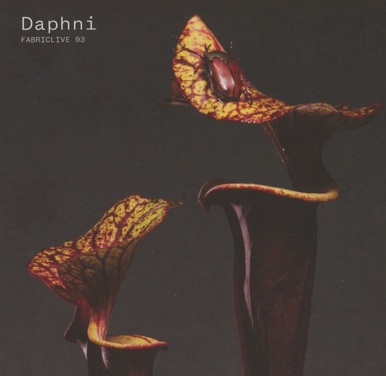 FABRICLIVE 93: Daphni Rock
