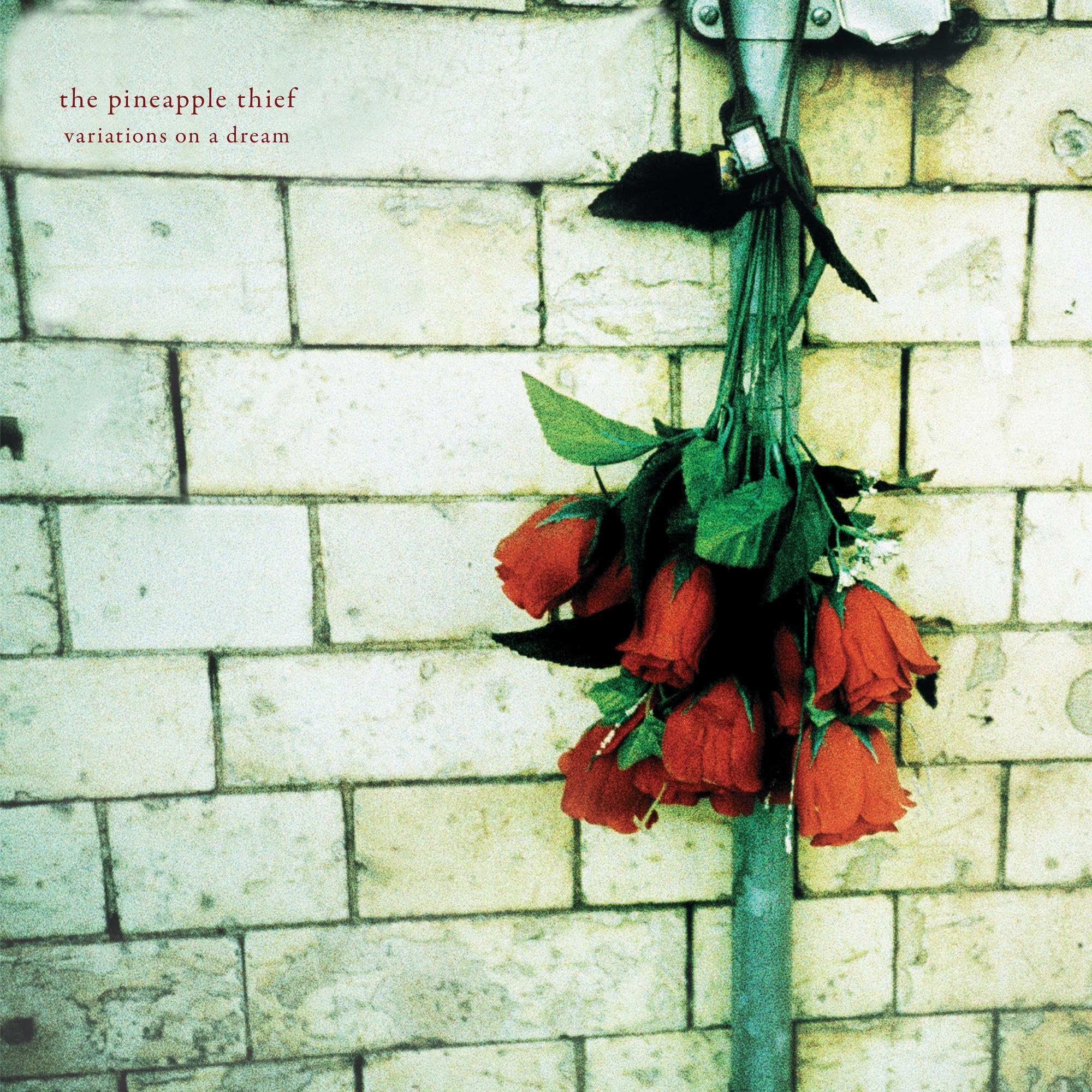 Variations on a Dream(Digipak) Rock