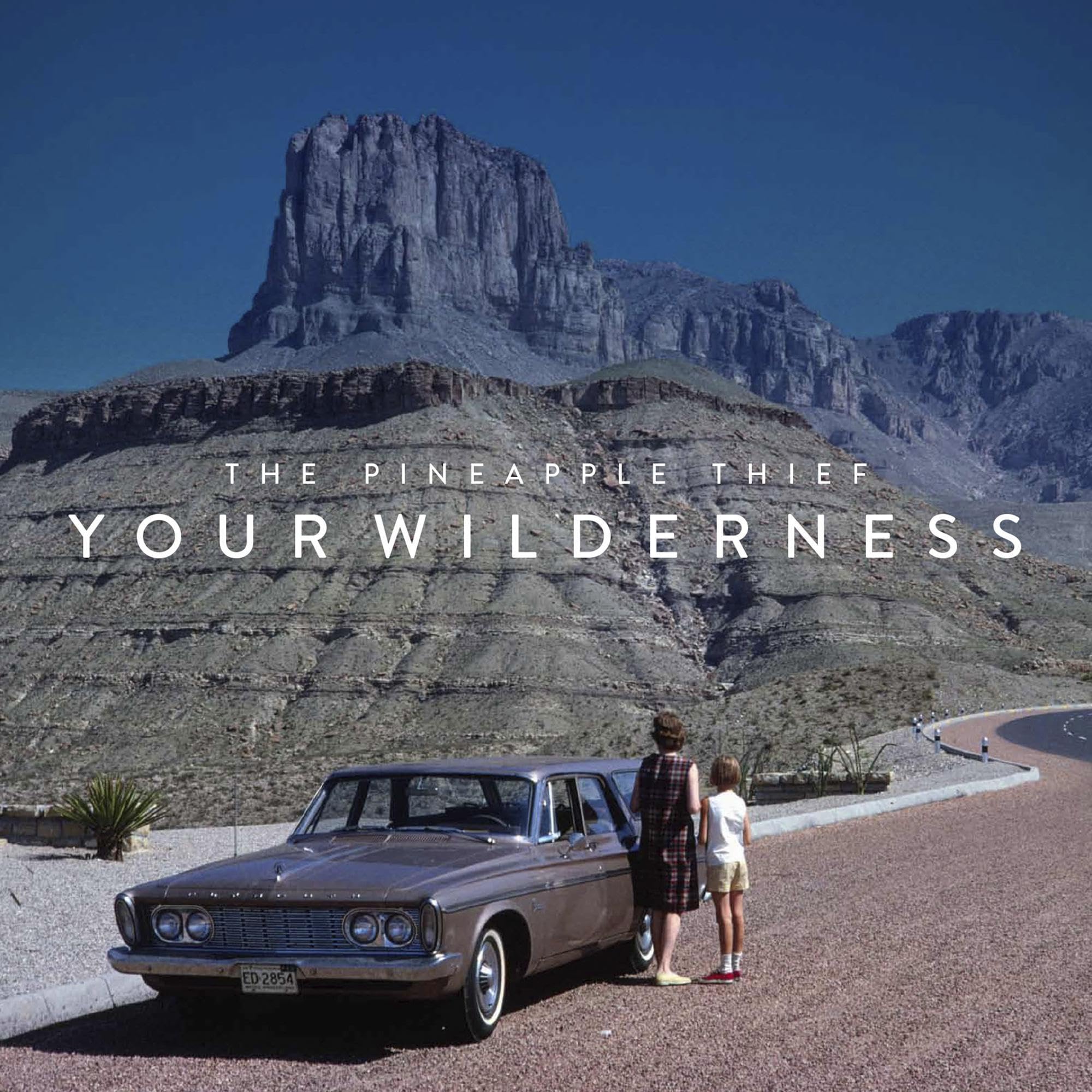 Your Wilderness Rock