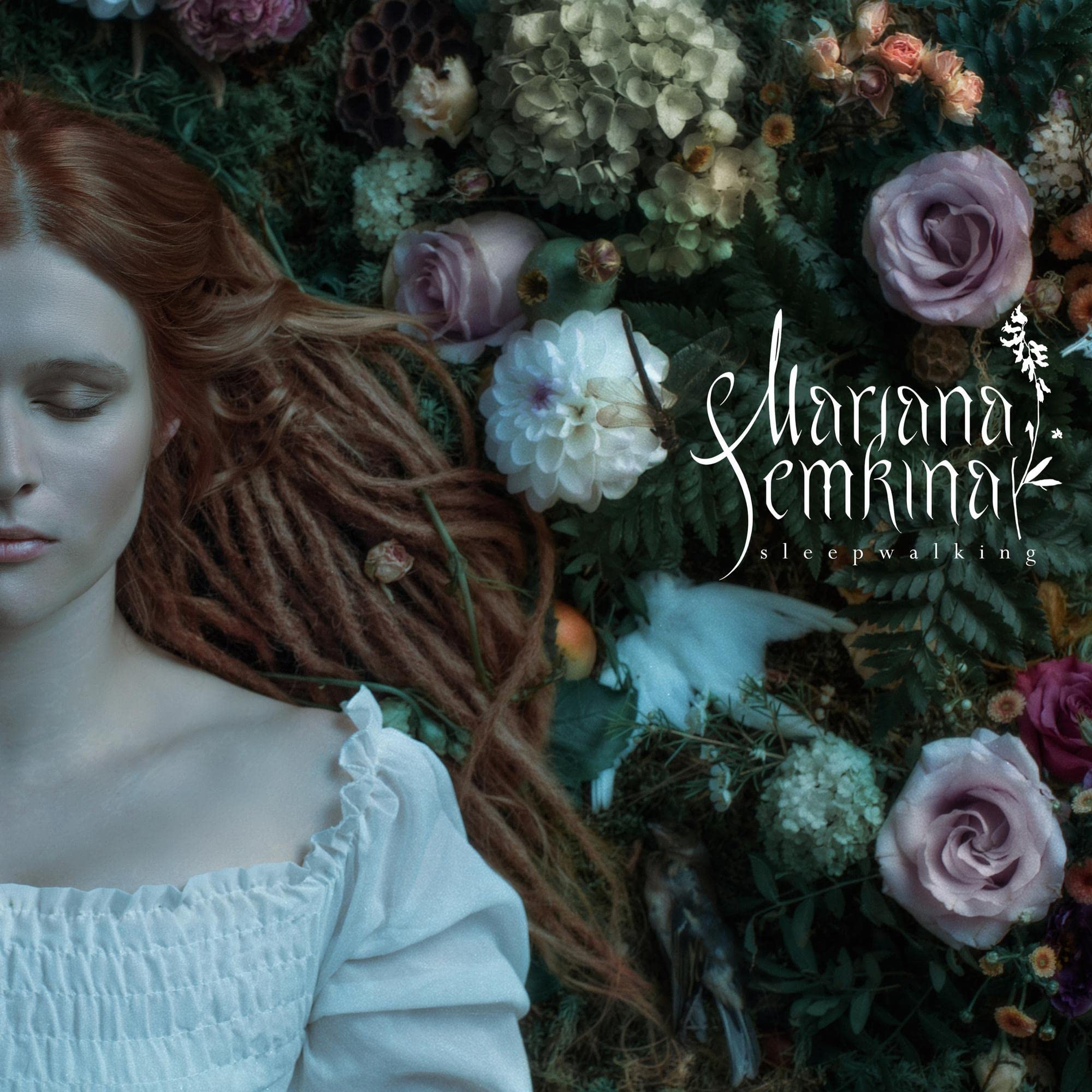 Product Image: Sleepwalking