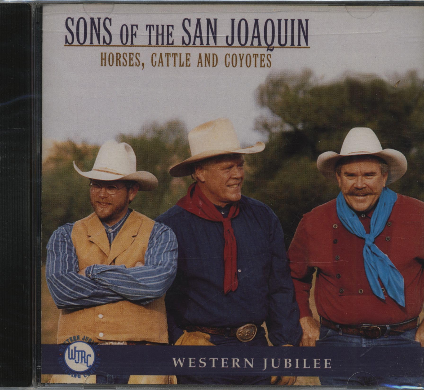 Horses Cowboys & Coyotes Pop