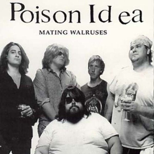 Mating Walruses Music