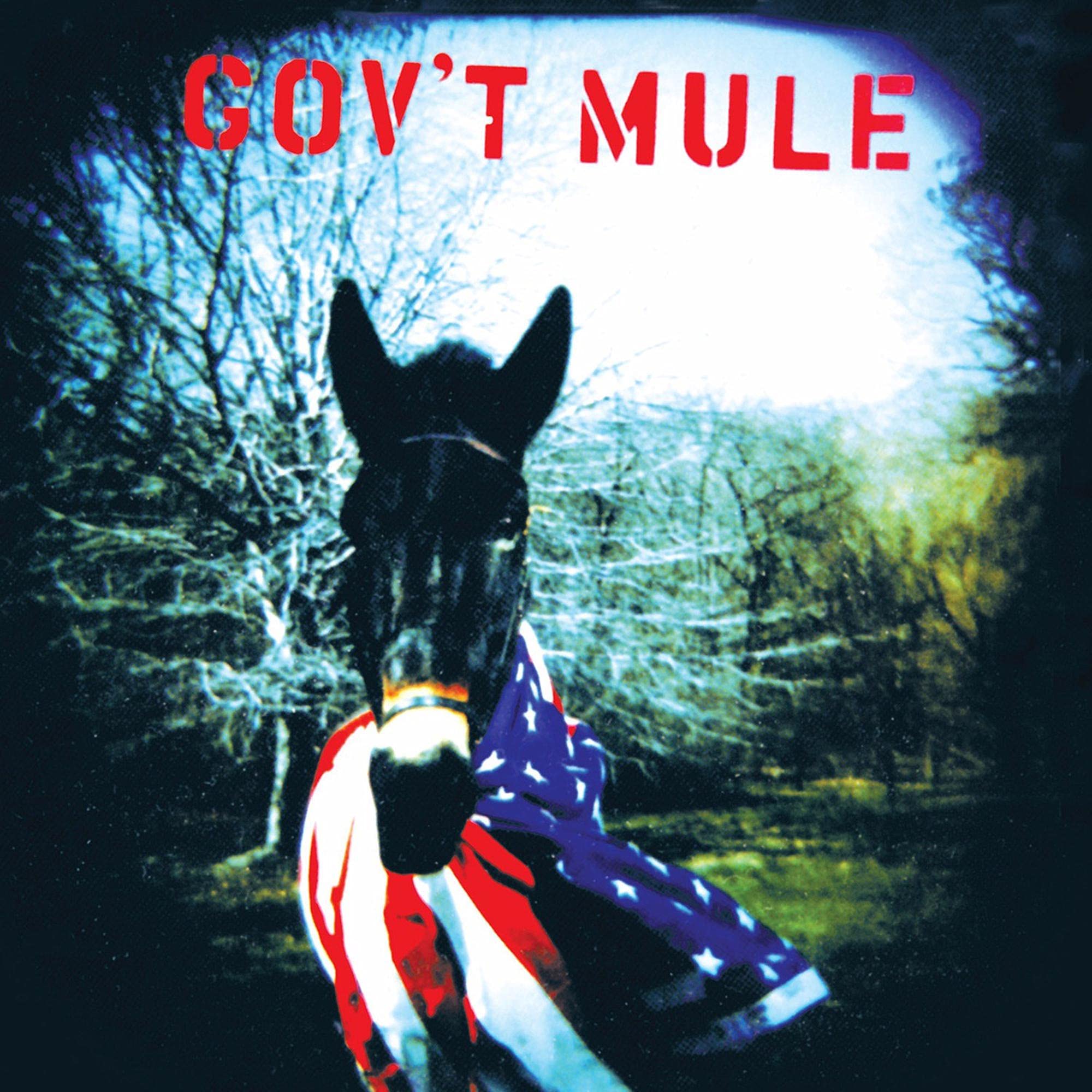 Gov'T Mule Rock