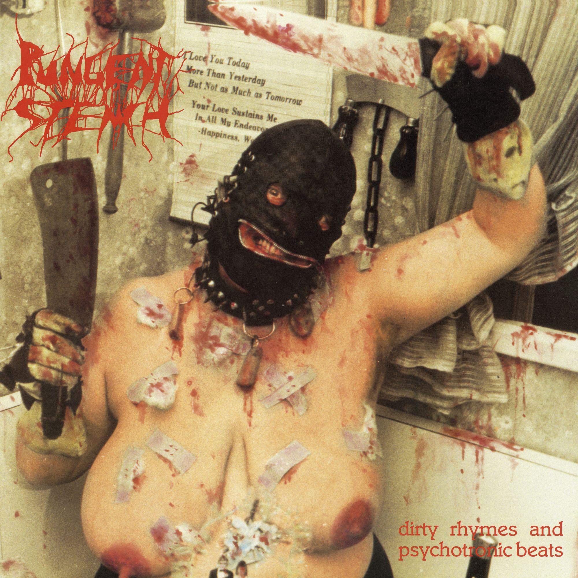 Dirty Rhymes & Psychotronic Beats (Bonus Tracks) Metal & Hardrock