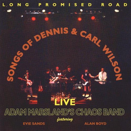 Long Promised Road: Songs of D Pop