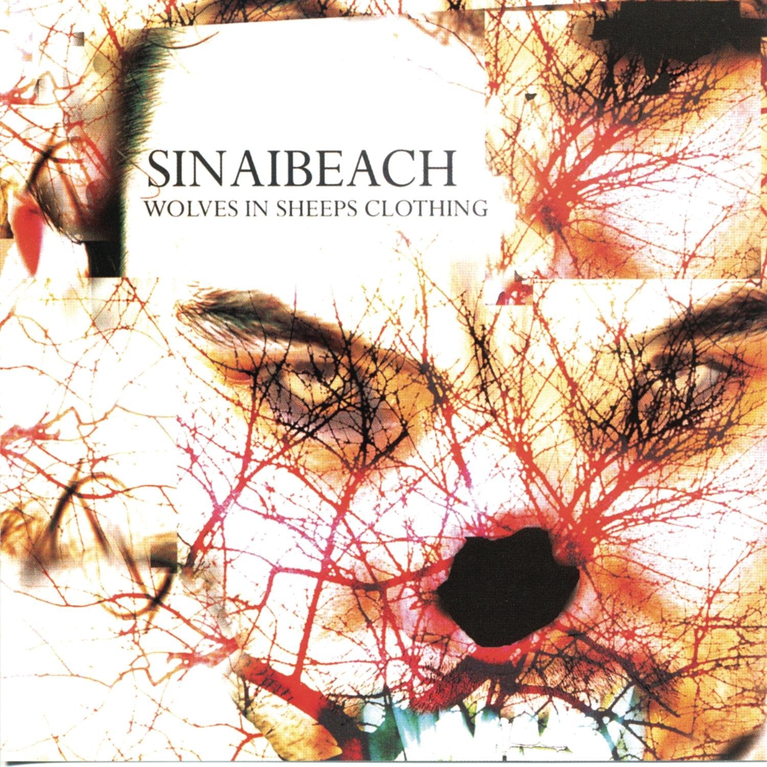 Sinai Beach - Wolves In Sheeps Clothes Metal & Hardrock