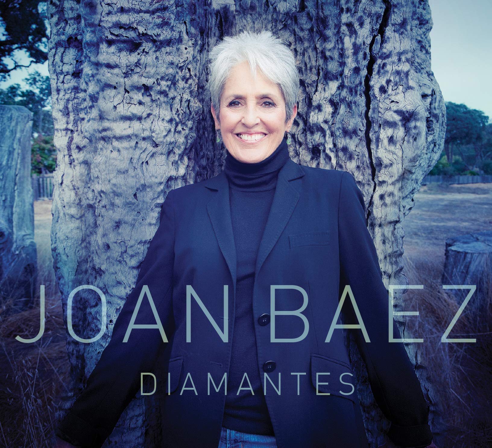 Diamantes Country & Folk