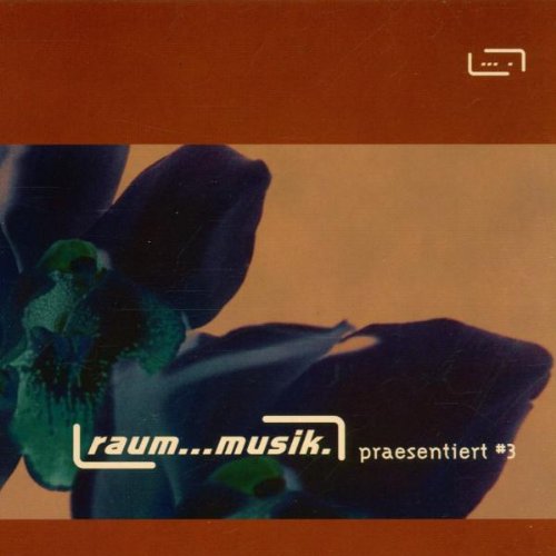 Raum...Musik Präsentiert Vol.3 Pop