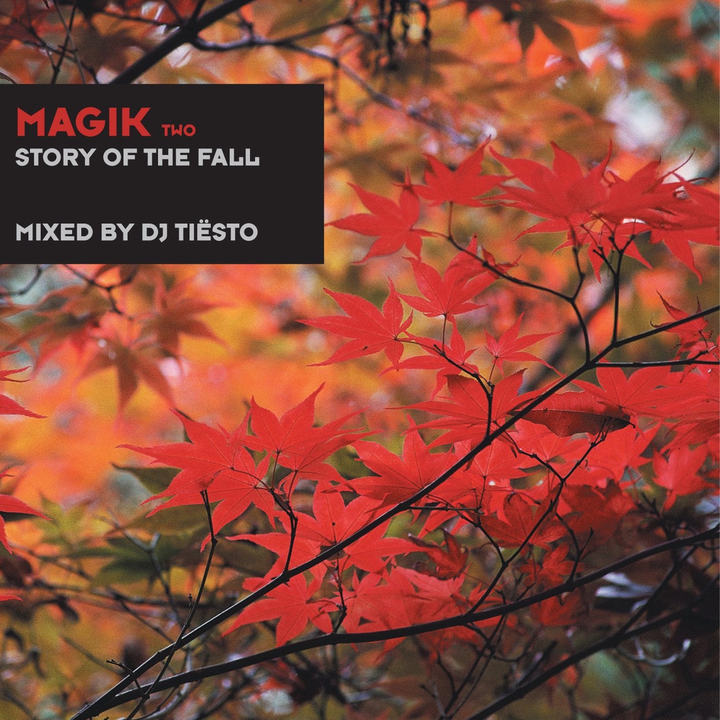Magik 2-Story of the Fall Dance & Electronic