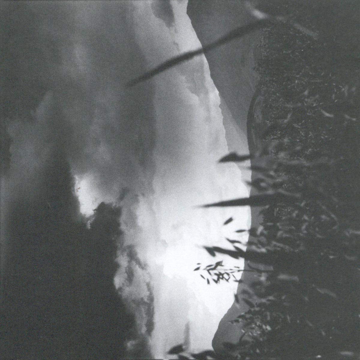 Tenebrous Alternative & Indie