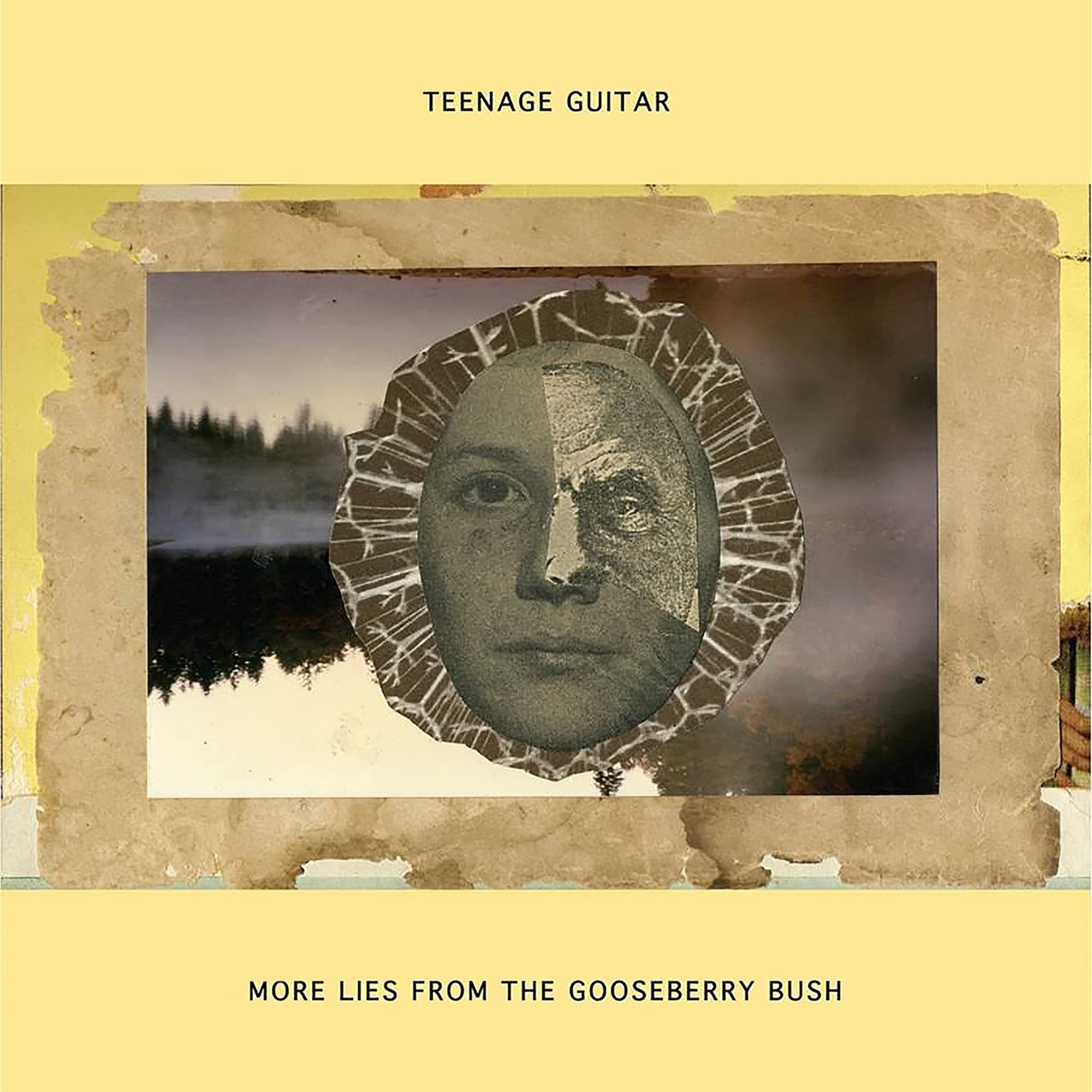 More Lies From The Gooseberry Bush/Force Fields Rock