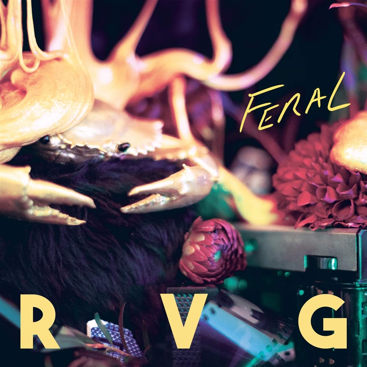 Feral cd