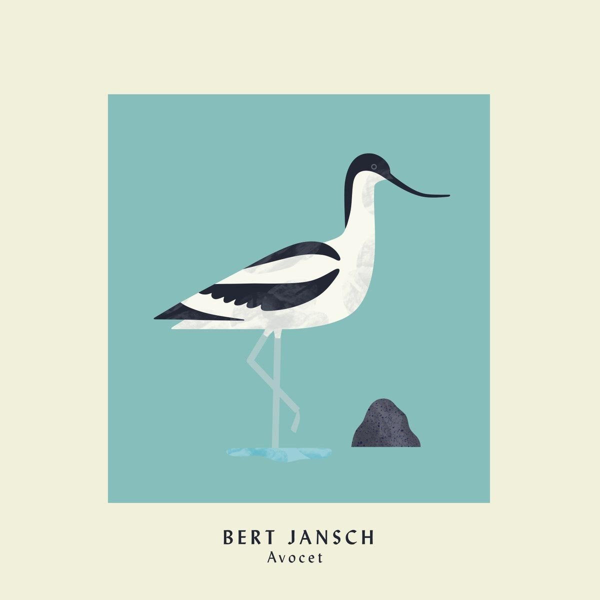 Avocet Pop