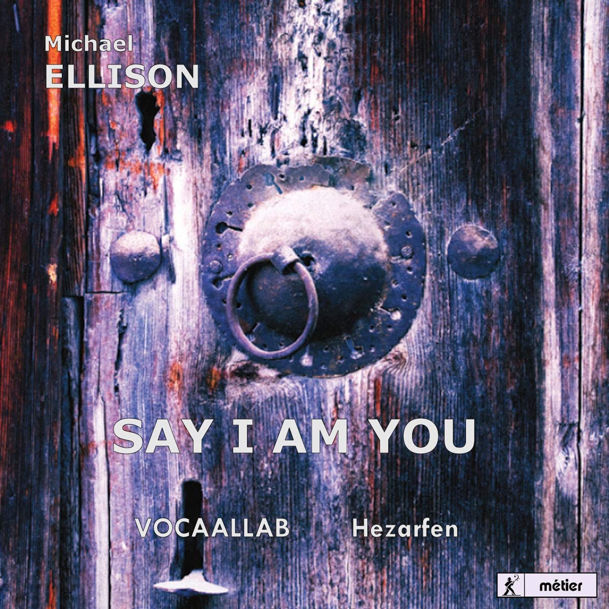 Say I Am You (Mevlfna) cd