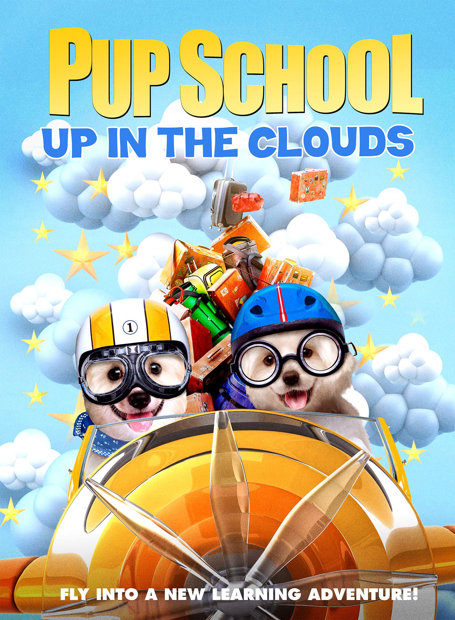 Pup School: Up In The Clouds Films