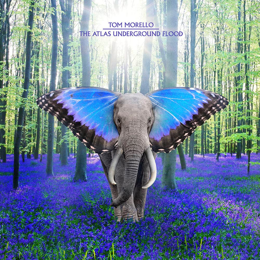 Product Image: Atlas Underground Flood
