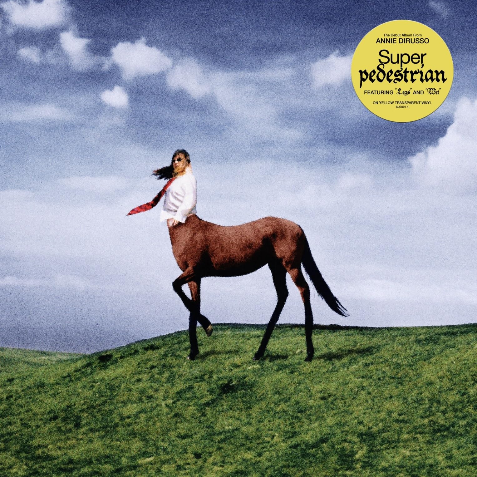 Super Pedestrian Alternative & Indie