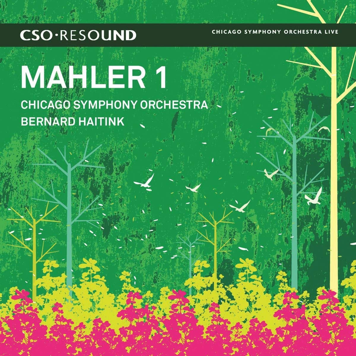 Mahler: Symphonie Nr. 1 Classical