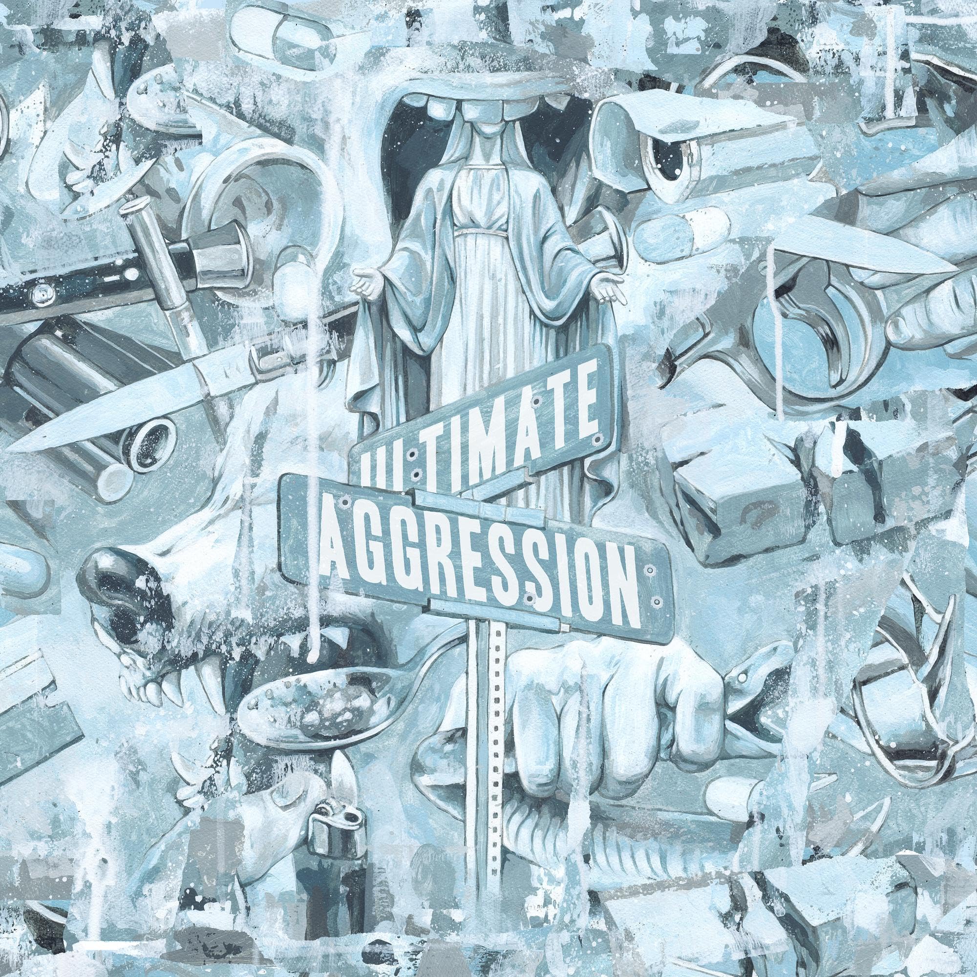 Product Image: Ultimate Aggression
