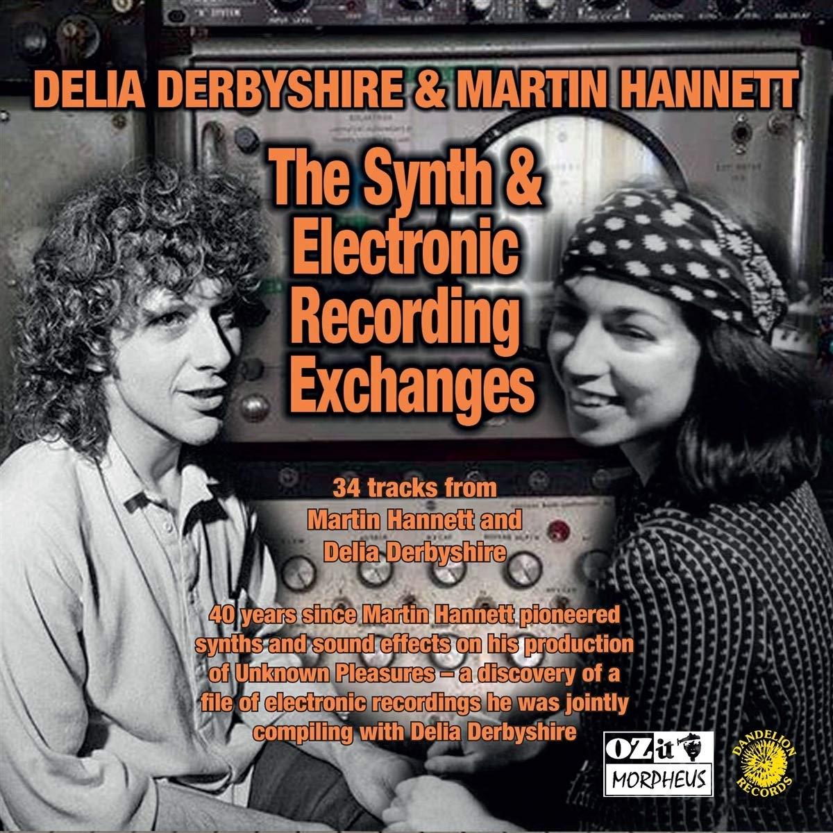 Product Image: The Synth And Electronic Recording Exchanges
