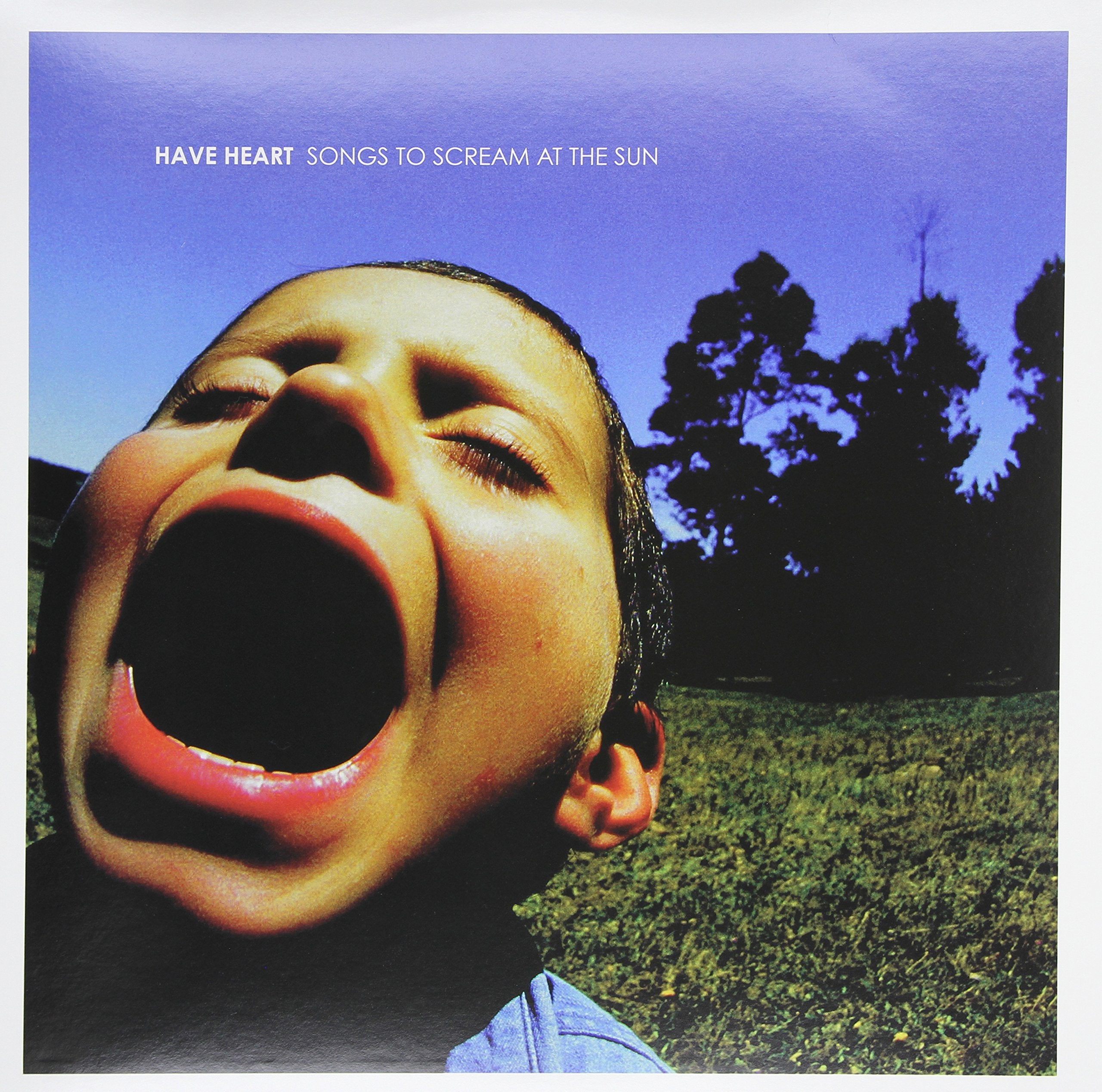 Songs to Scream at The. cd