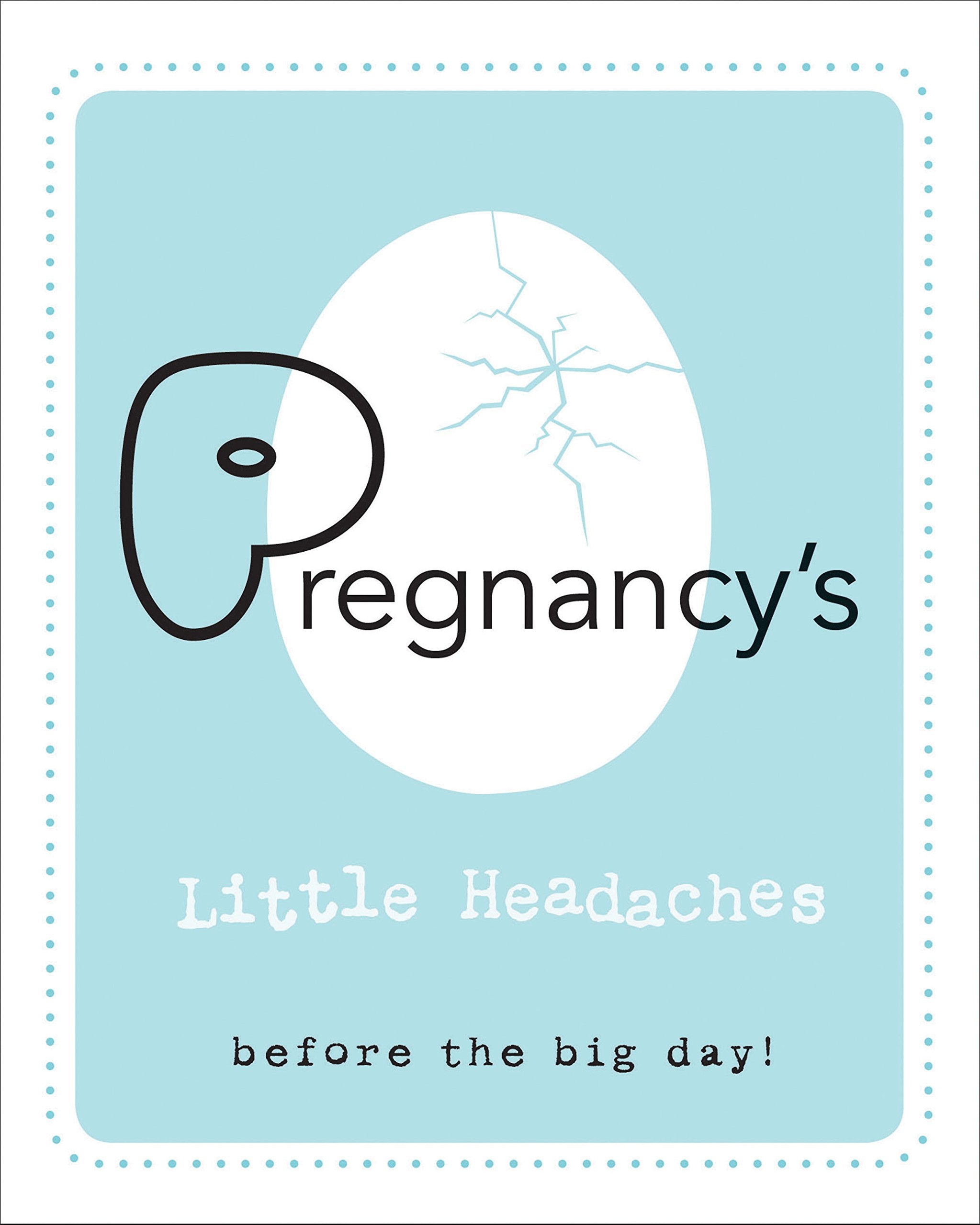 Pregnancy's Little Headaches: Before the big day! Contemporary literature