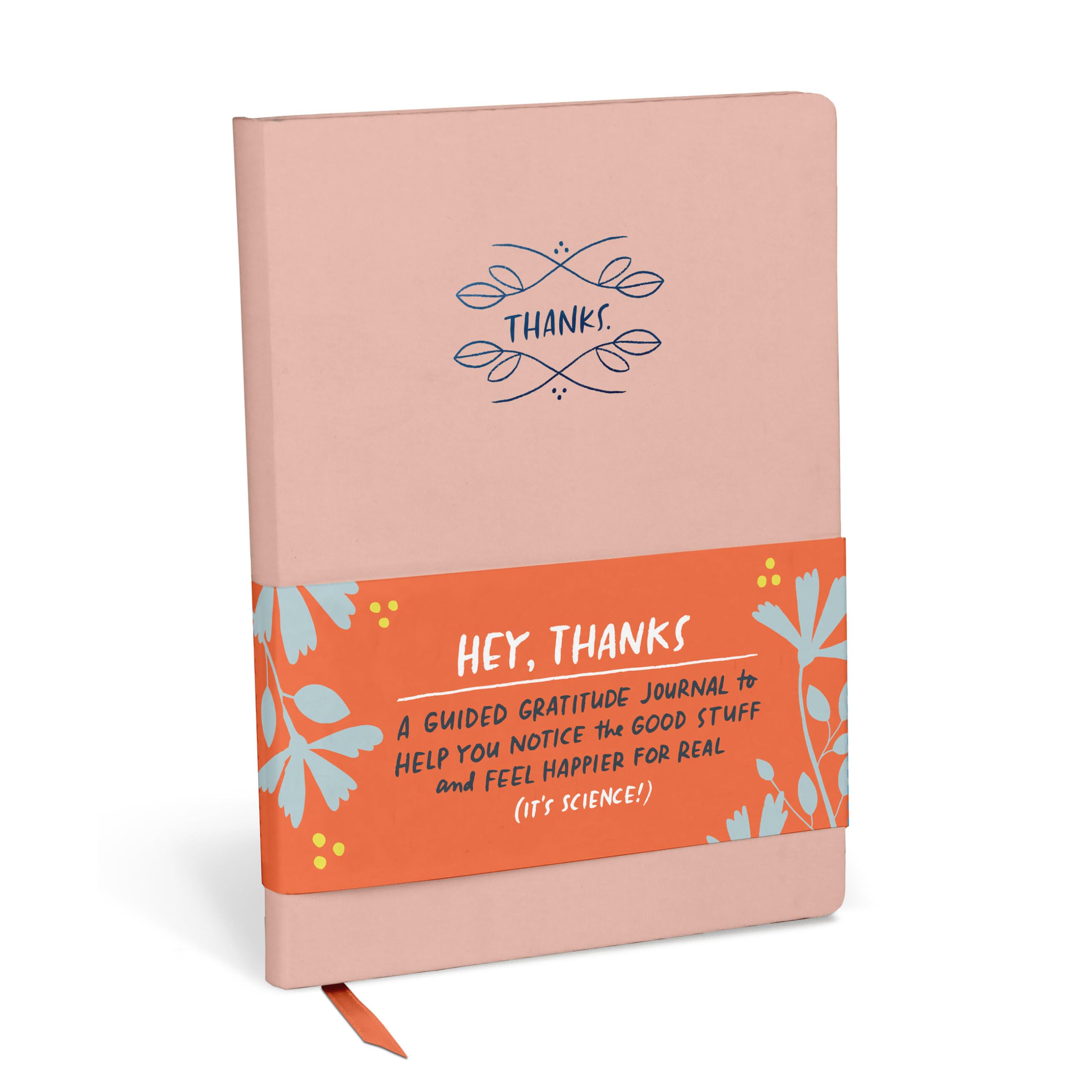 Em & Friends Hey, Thanks: A Guided Gratitude Journal Guided Journals book