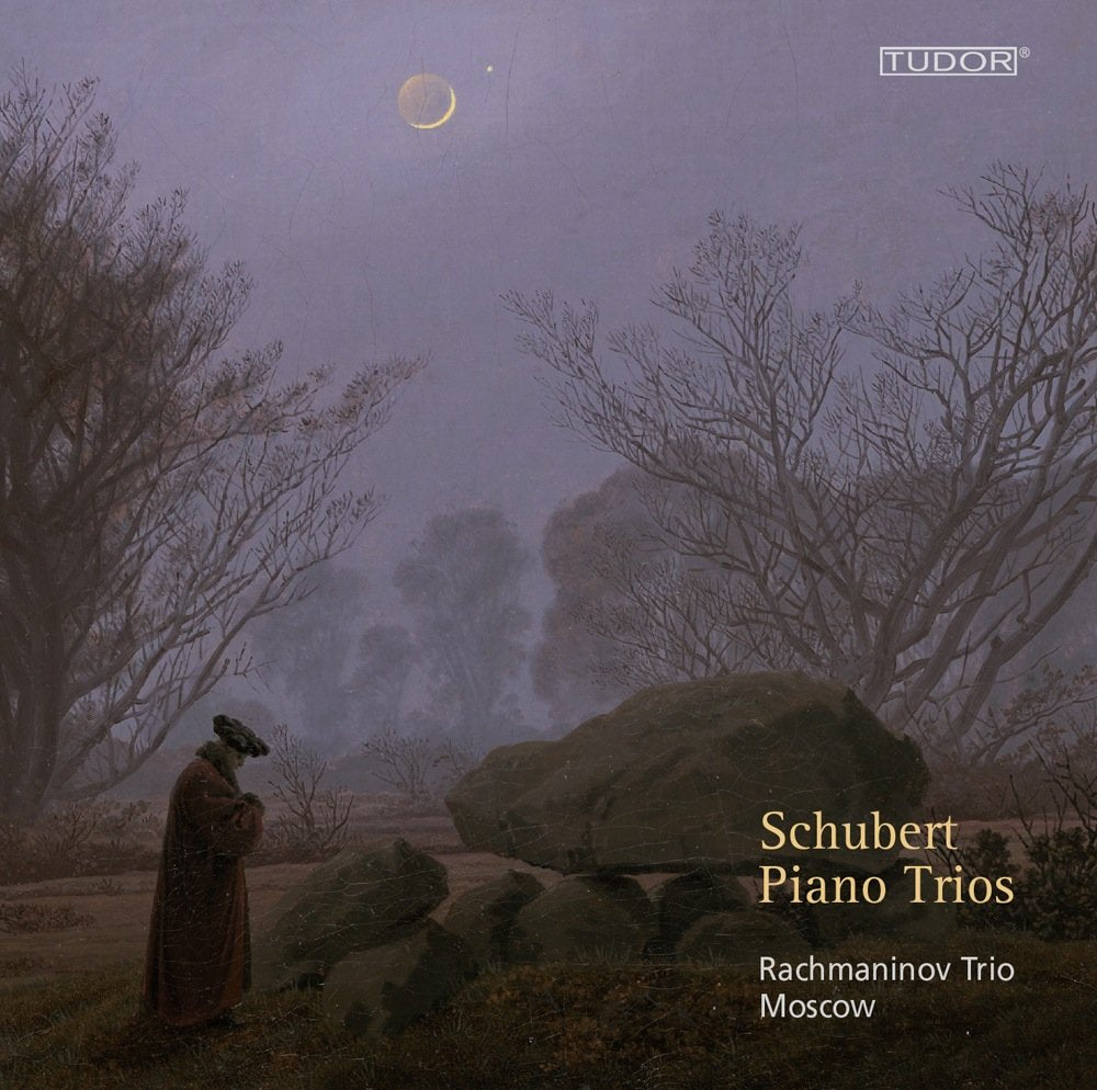 Klaviertrios d 898,d 28,d 929,d 897 Classical