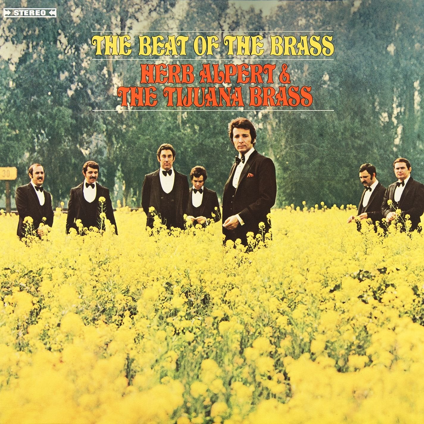 The Beat of the Brass Jazz