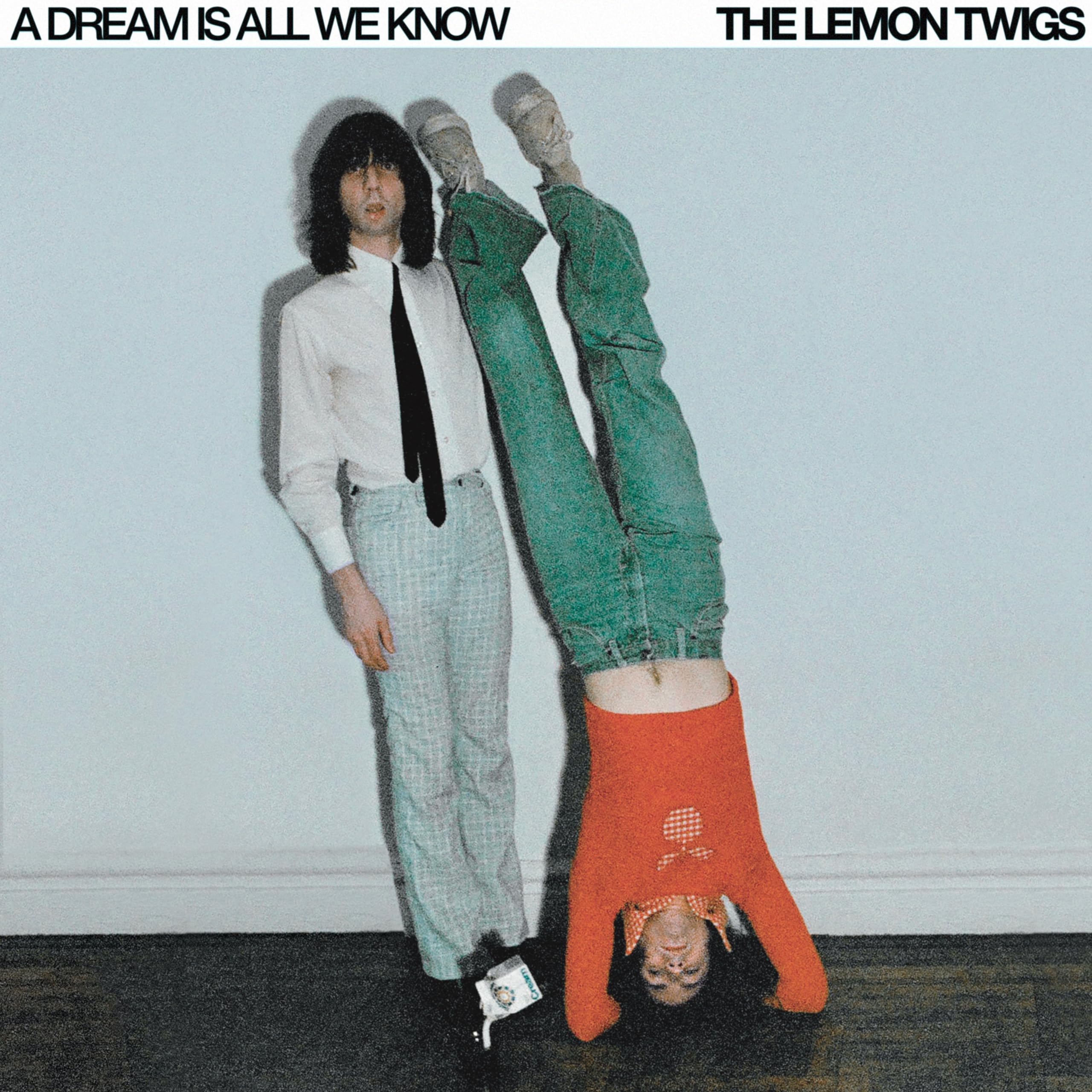 A Dream is All We Know-Vinyle Blanc Creme cd