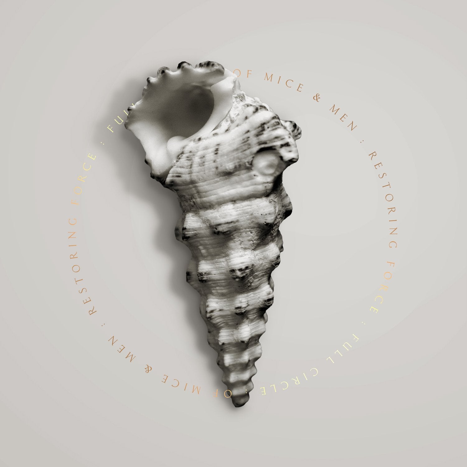 Restoring Force:Full Circle Metal & Hardrock