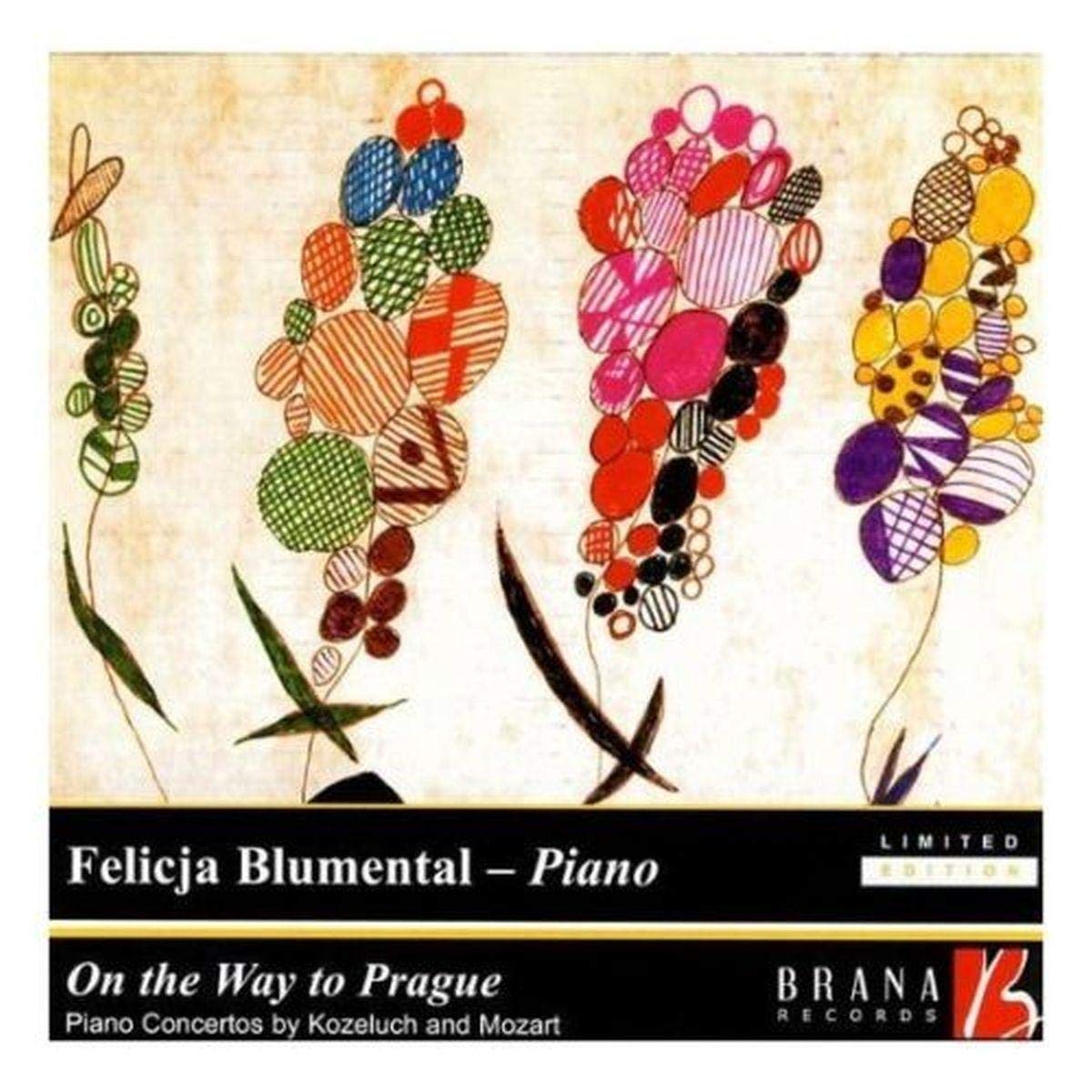 Paderewski : Fantaisie polonaise. Blumental cd