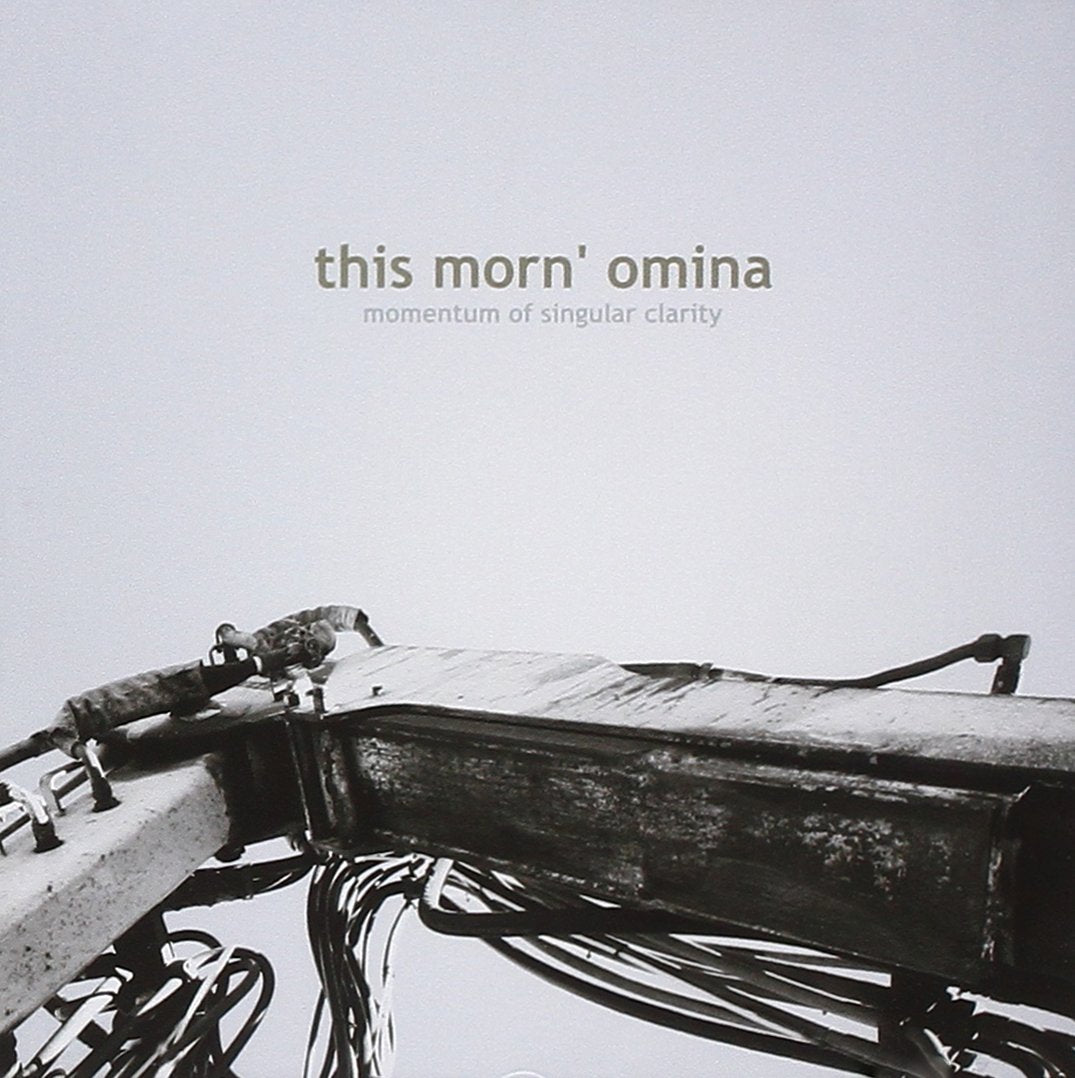 Momentum of Singular Clarity Alternative & Indie