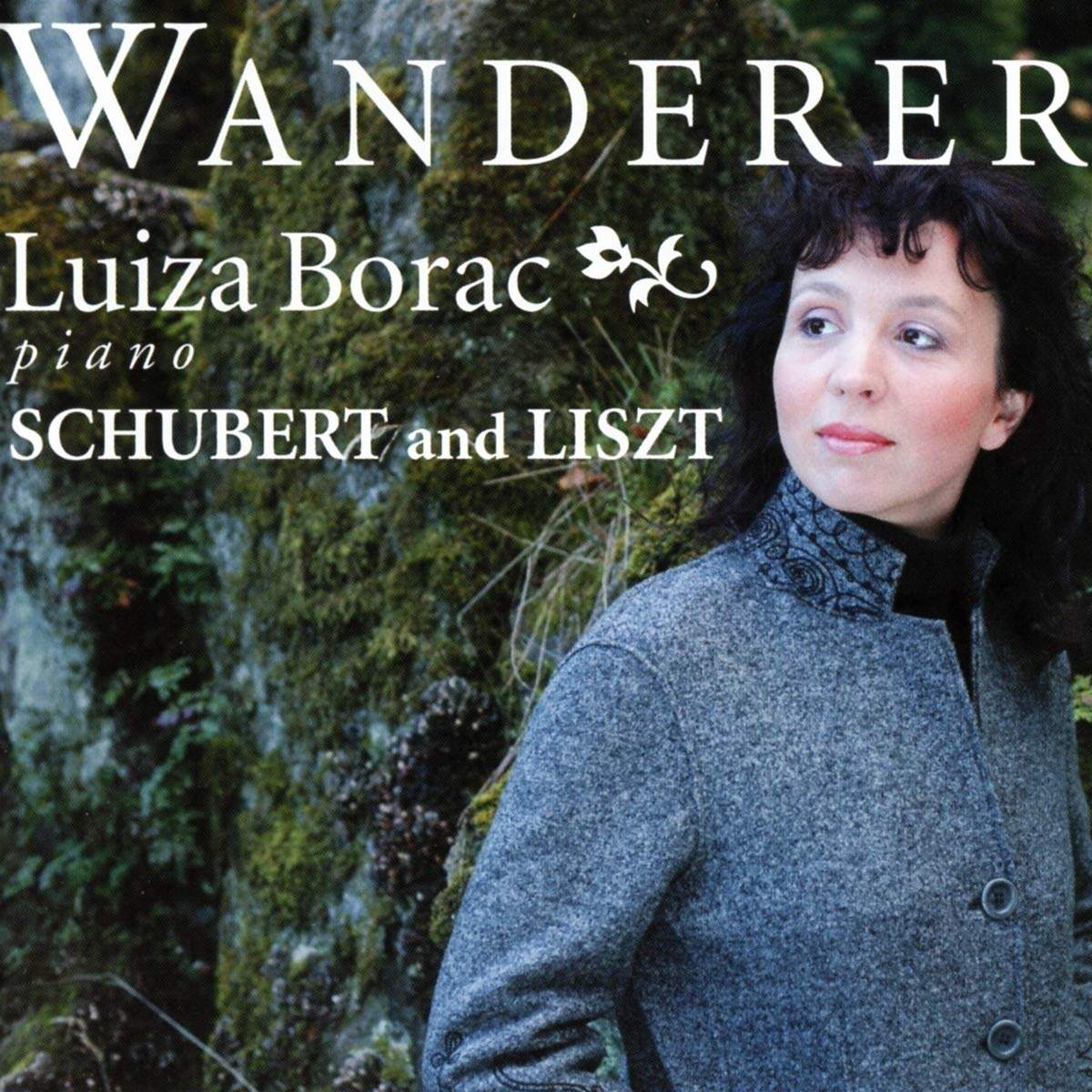 Wanderer: Piano Works By Liszt and Schubert Classical