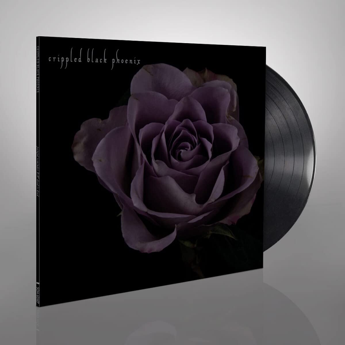 Painful Reminder/Dead Is Dead (Black Vinyl 10'') Rock
