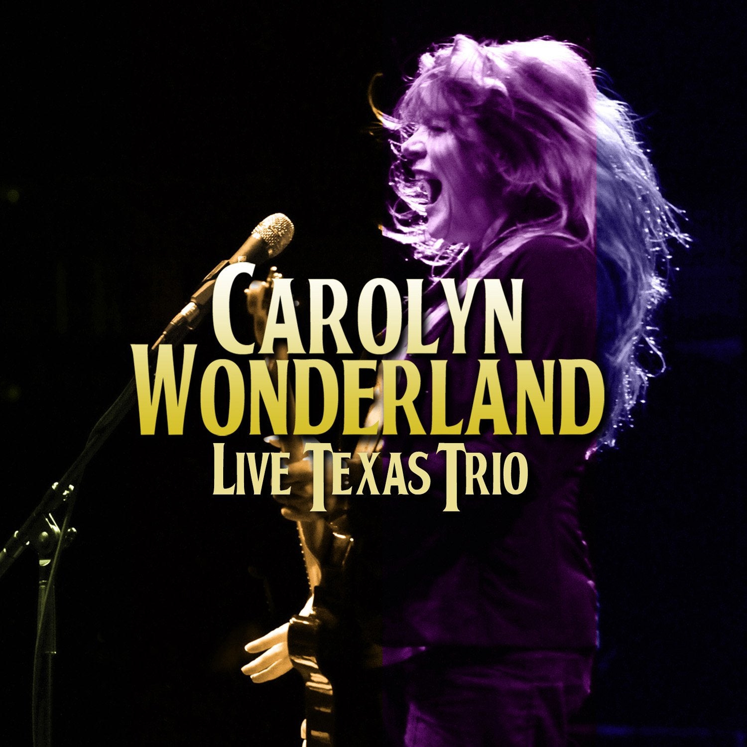Live Texas Trio Country & Folk