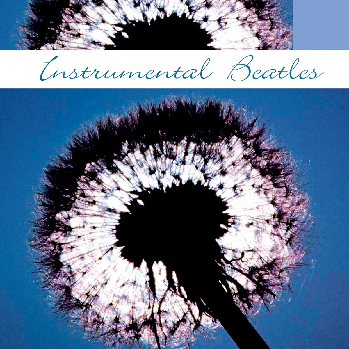 Instrumental The Beatles Other music genres