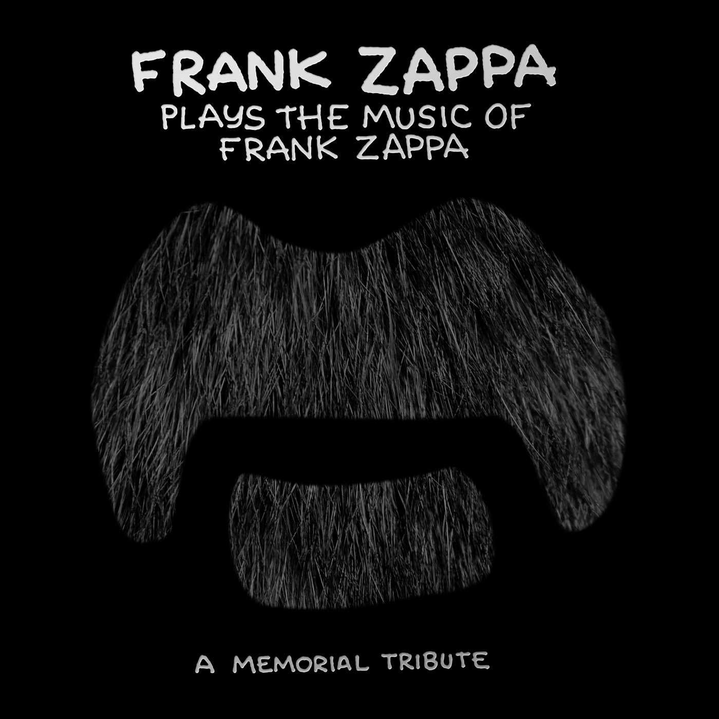Plays the Music of Frank Z Rock